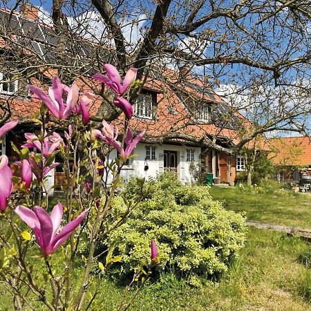 Ferienhof Rauchhaus Karft Esterno foto