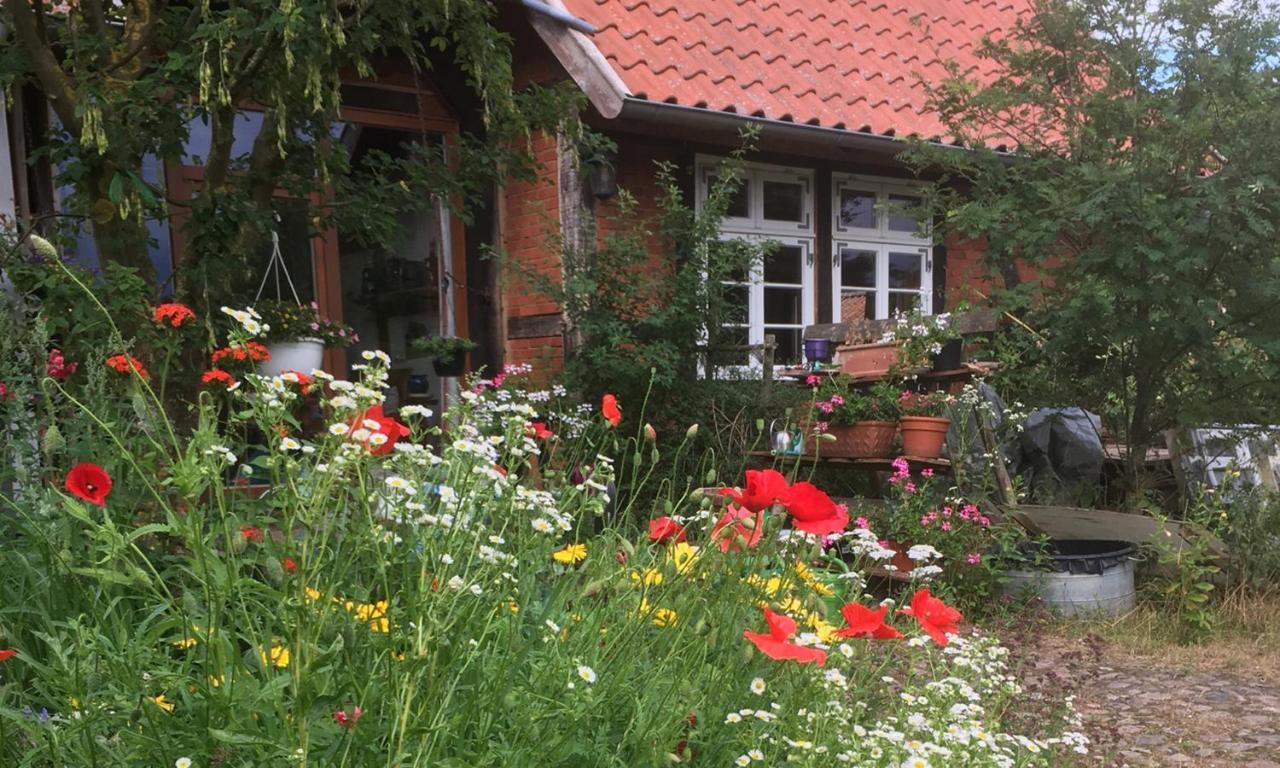 Ferienhof Rauchhaus Karft Esterno foto