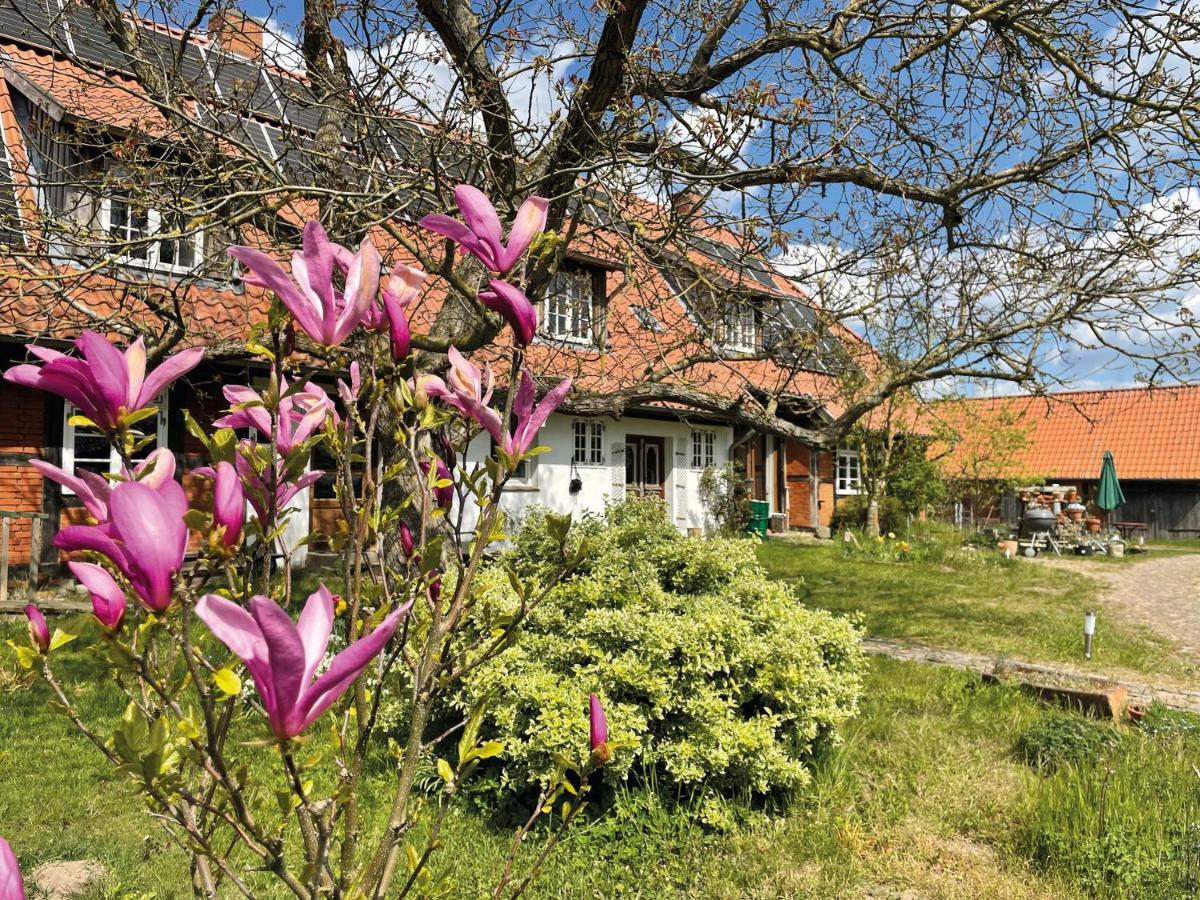 Ferienhof Rauchhaus Karft Esterno foto