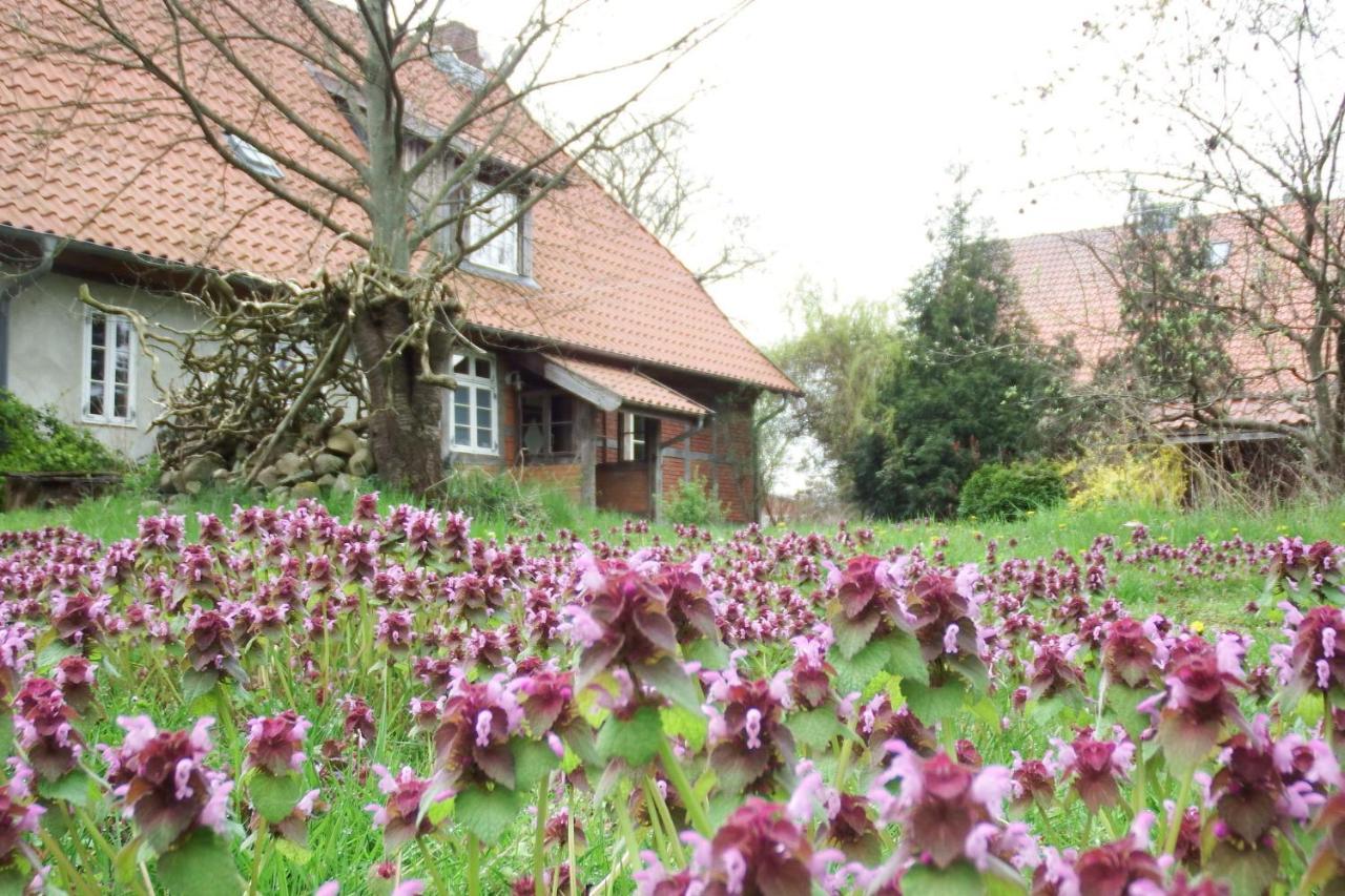 Ferienhof Rauchhaus Karft Esterno foto